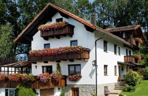 Bodenmais Apartment | Ferienwohnungen Göstl
