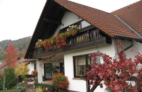 Grossheubach Apartment | Ferienwohnungen Haus Albert