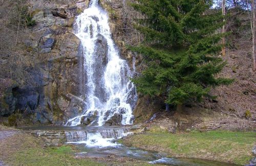 Konigshutte Apartment | Ferienwohnungen Königshof