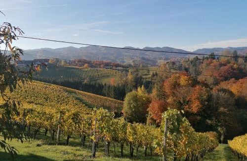 Glanz an der Weinstrasse Apartment | Ferienwohnungen Kumpitsch am Poharnigberg