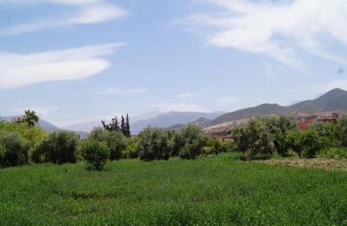 Tnine Ourika Apartment | Ferme d'hôtes Pouvoir des Plantes