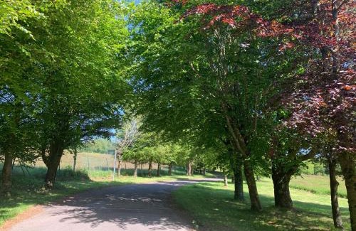 Carrigaline Hotel | Fernhill Lodge Carrigaline