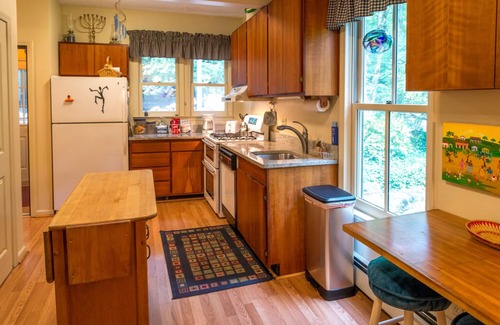 Montreat House | Fernledge | Peaceful & Pet-friendly 5BR Mountain Cottage