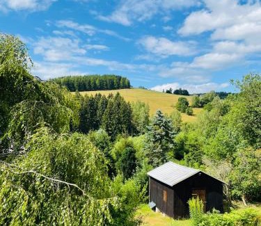 Klingenthal Apartment | FeWo - Bergblick