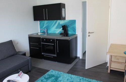 Gemarkung Endingen Apartment | FeWo Topas Balingen