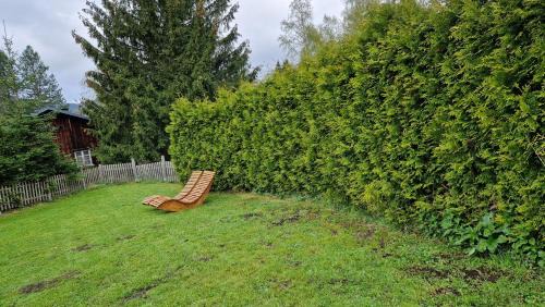 Feldberg Apartment | FEWO zum gscheiten Beck mit grosser Terrasse