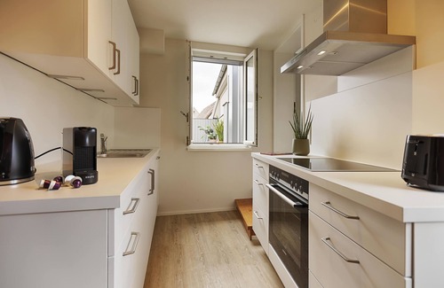 Ochsenfurt Apartment | Fewos am Main mit Dachterrasse & Fahrradgarage