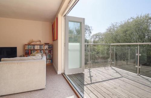 Axminster House | Fig Tree House