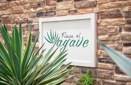 Waller House | Finca Agave Pool Bungalow No. 11 Marigold