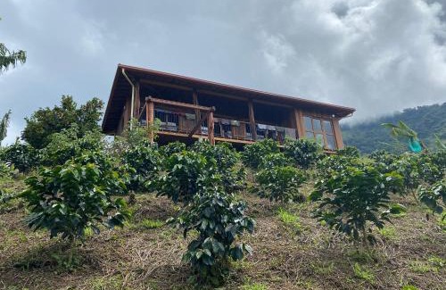 Zona Cafetera Villa | Finca La Arabia Jardín