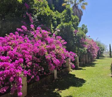 Constantina House | Finca La Favorita- Suites