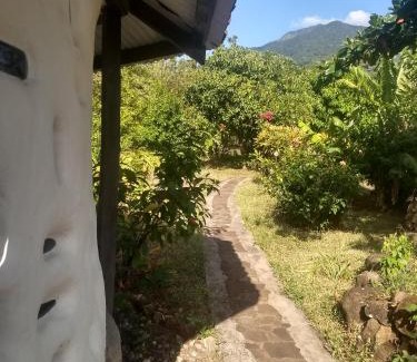 Santa Cruz Cabin | Finca Mystica