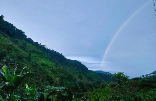 Tulipe House | Finca Sacha Muyu