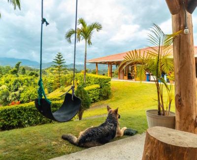 Malacatos House | Finca Valentina