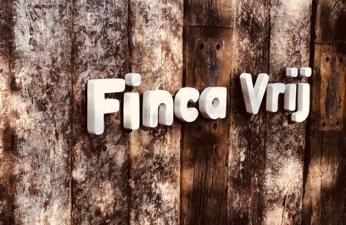 Scharendijke Apartment | Finca Vrij