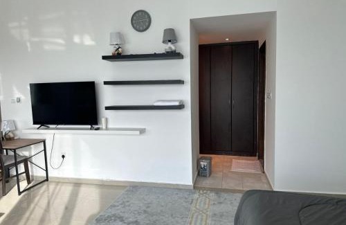 Madinat Zayed House | flamingo villa
