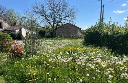 Corgnac-sur-l'Isle Apartment | Fleurs sauvages a Rebeuse NEW HOSTS Full of nature