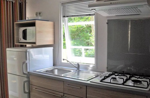 Neuveglise-sur-Truyere House | Flower Camping Le Belvédère * - Mobile home Comfort More PRADAL - 2 bedrooms 4 people