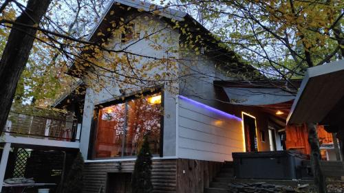 Rakitje Villa | Forest Art Villa Zagreb