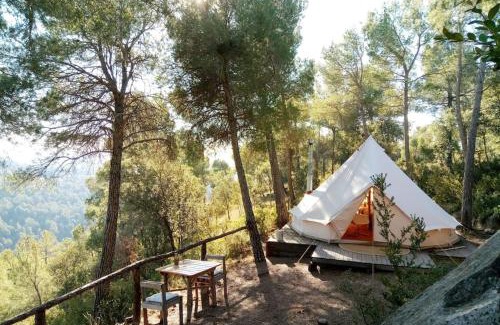 Naves Other | Forest Days