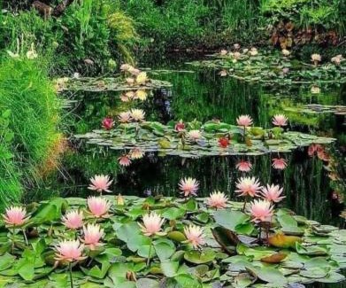 Bois-Jerome-Saint-Ouen Bed & Breakfast | Forest Farm