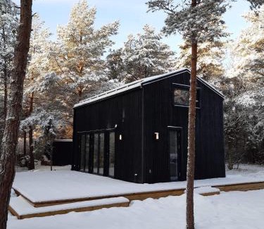 Kudjape House | Forest House, Tiidu