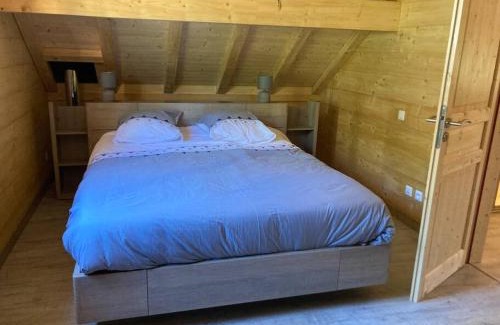 Alieze Ski Chalet | Forest Jura Lodge - Chalet des sapins