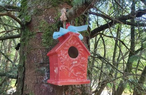 Ballyconnell Other | Forest Lodge Log Cabin - Ireland
