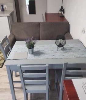Sulejow Apartment | Forrest House w Białej