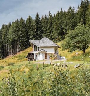 Frauenstein House | Forsthaus Gray 4