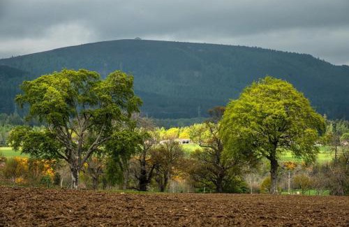 Dingwall House | Foulis Castle Gate Lodge