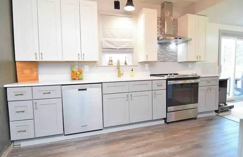 Albert Lea House | Fountain Blue-newly renovated modern home , lots of outdoor spaces to enjoy.