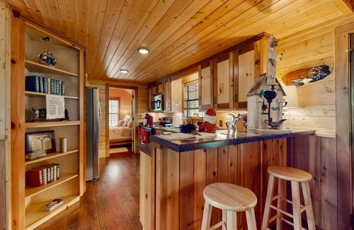 Ledbetter Cabin | Four charming cabins with kitchens, kitchenettes, patios, wood stove, W/D, WiFi