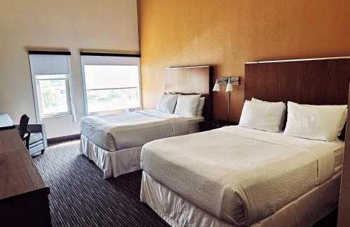 Buffalo Grove Hotel | Four Points by Sheraton Buffalo Grove