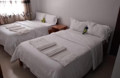 Meru Apartment | Four seventy