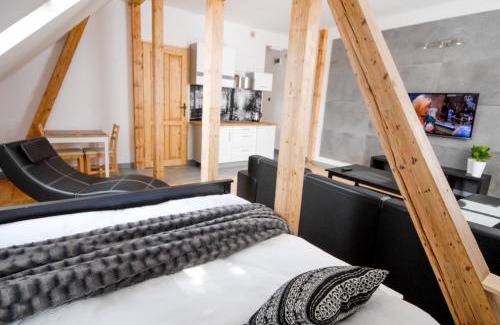 Szczawno-Zdroj Apartment | Franciszek przy Parku Szwedzkim