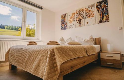 Auerbach-Erzgebirge Apartment | Franzis Feriendomizil im Herzgebirge am Skihang