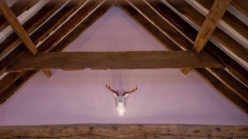 Abbess Roding House | Frasers