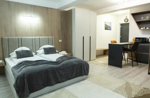 Frasin Apartment | Frasin Studio C1 & 6 km to Voronet Monastery