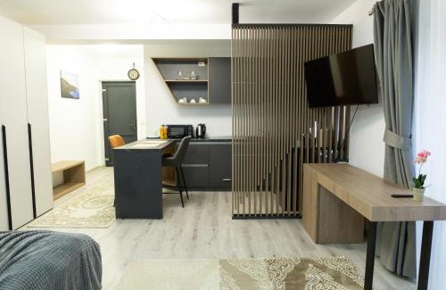 Frasin Apartment | Frasin Studio C1 & 6 km to Voronet Monastery