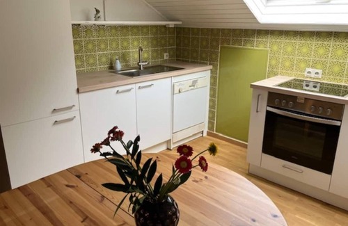 Dornhan Apartment | Freshly renovated apartment for perfect relaxation, very family-friendly