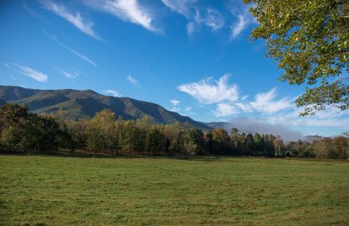 Gatlinburg - Pigeon Forge House | Friendly Bear Cabin