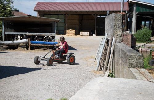Groß Holum Apartment | Friesenhof Janssen - Urlaub auf dem Bauernhof