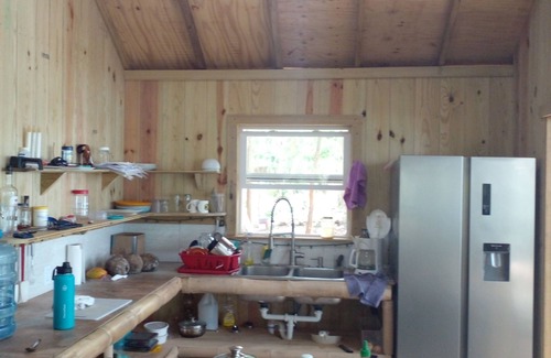 Green Island Cabin | Full Ocean Front Cabin By the Beach