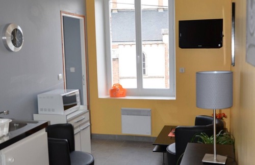 Ouzouer-sur-Loire Apartment | Furnished apartment