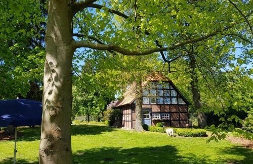 Borchel Ski Chalet | Gästehaus am Kattensteert