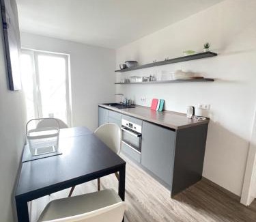 Schwann Apartment | Gästehaus Hirsch 93