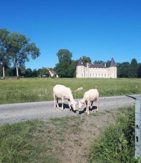 Neuville-les-Decize House | Gîte à la ferme, avec animaux, fromages et nature