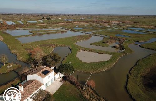 Bois-de-Cene House | Gîte 4 chambres avec bien-être et terrasses au cœur du Marais Breton - FR-1-426-559