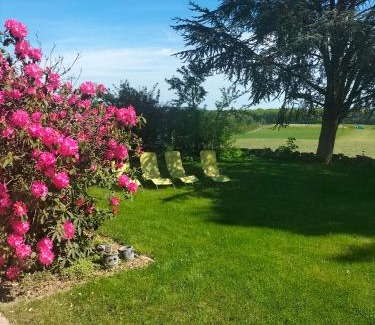 Saint-Nabord House | Gîte Belle Fleur 6 personnes- Vosges